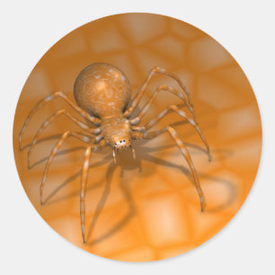 Adesivo Redondo Aranha Laranja