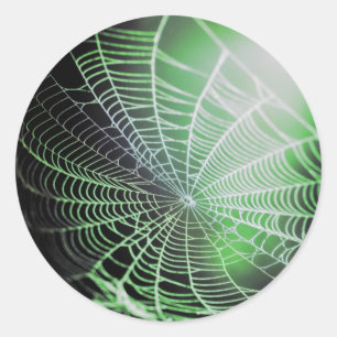 Adesivo Redondo Aranha Negra Verde Assustadora