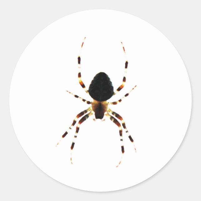 Adesivo Redondo Aranha st arc3 (Frente)