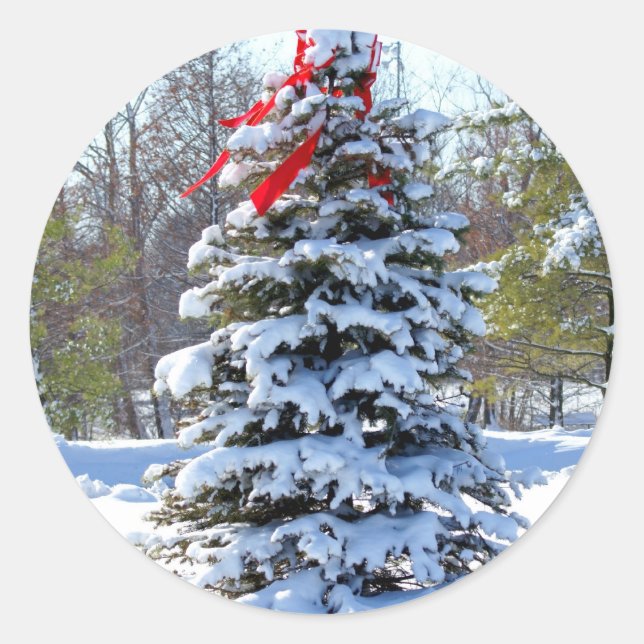 Adesivo Redondo Arco Vermelho Evergreen (Frente)