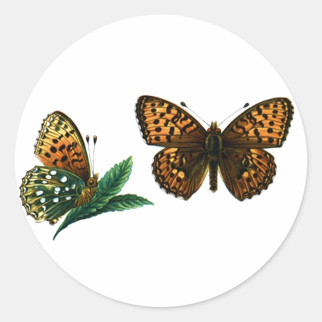 Adesivo Redondo Argynnis aglaja (Frente)
