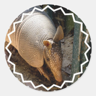 Adesivo Redondo Armadillo Stickers