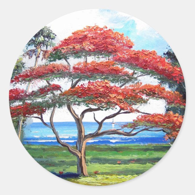 Adesivo Redondo Arte da Árvore Real Poinciana (Frente)
