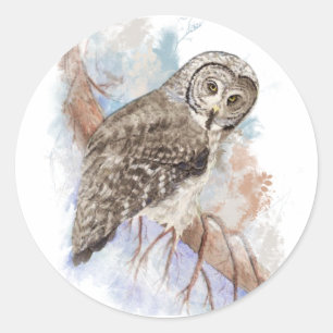 Adesivo Redondo Arte da natureza do pássaro da coruja de grandes