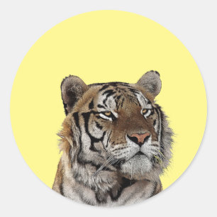 Adesivo Redondo arte da vida selvagem de animais macho-tigre