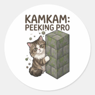 Adesivo Redondo Arte de Gato em Bloco de Pixel Divertido KAMKAM Pe