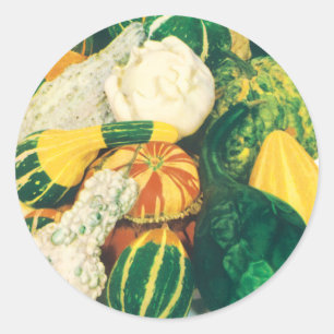 Adesivo Redondo Arte de Pacote de Sementes Antigas, Abóboras Varia