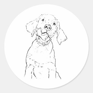 Adesivo Redondo Arte de Parede de Cachorro Labrador Retriever, Des