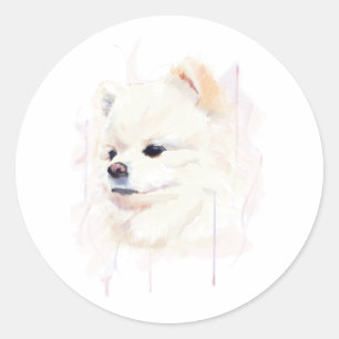 Adesivo Redondo Arte de Parede de Pomerânia Poster, Pintura em Aqu