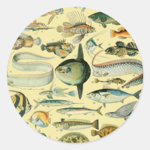 Adesivo Redondo Arte De Pesca Científica Para Peixes Vintage