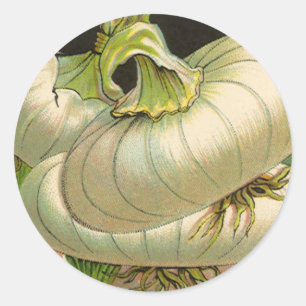 Adesivo Redondo Arte de rótulo de pacote de sementes vintage Cebol