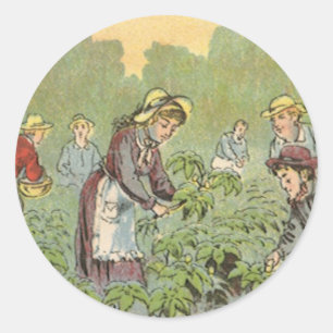 Adesivo Redondo Arte de rótulo de produto antigo, Pílulas de Maçã