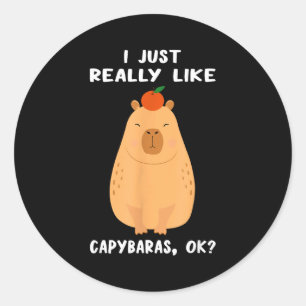 Adesivo Redondo Arte Divertida de Capivara para Homens Mulheres Cr