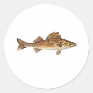 Adesivo Redondo Arte dos Walleye