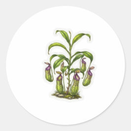Adesivo Redondo Arte Exótico da Planta Jarro - Carnívora Indonésia