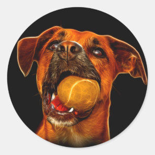 Adesivo Redondo Arte Moderna do Cão-de-Boxer