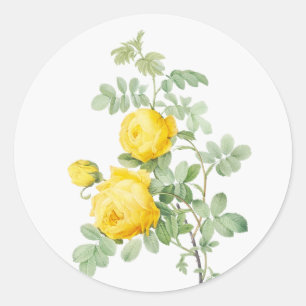 Adesivo Redondo Arte Original Aquarela Jardim Flor Rosas