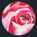 Adesivo Redondo Arte romântica a aquarela rosa rosas<br><div class="desc">Rosas cor-de-rosa flores,  cor d'água floral,  arte original. impressão original australiano de cor d'água. Rosas românticas. Brilhante e colorido. Belas artes originais por artista.</div>