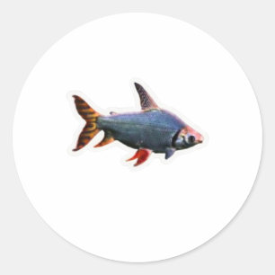 Adesivo Redondo Arte Vibrante de Peixes Ornamentais - Belos A