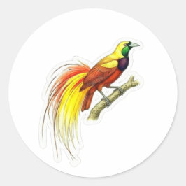 Adesivo Redondo Arte Vibrante do Pássaro do Paraíso - W Indonésio