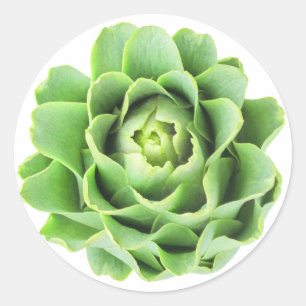 Adesivo Redondo Artichoke
