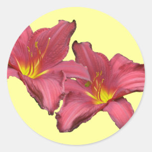 Adesivo Redondo Artigos de coordenação do hemerocallis vermelho