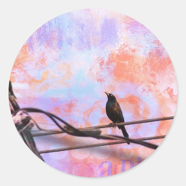 Adesivo Redondo Artsy Grackle (Frente)