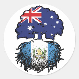 Adesivo Redondo Árvore australiana guatemalteca australiana