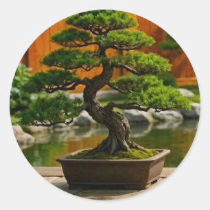 Adesivo Redondo Árvore Bonsai do Dragão do Equilíbrio
