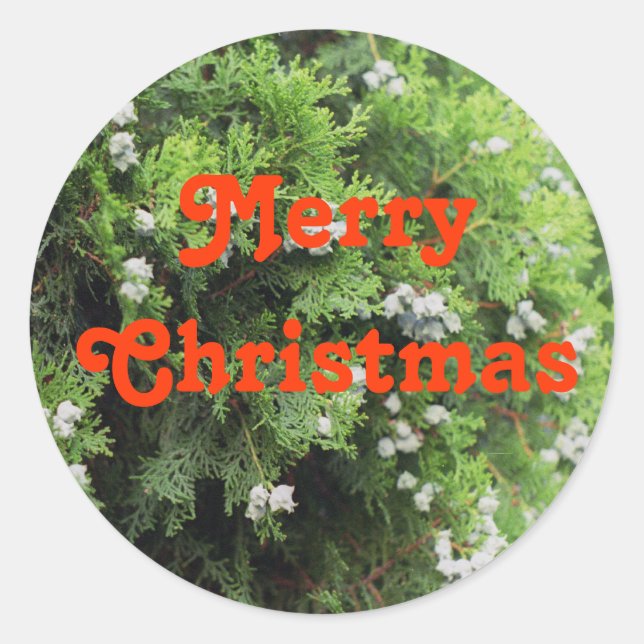 Adesivo Redondo Árvore de Férias (Frente)
