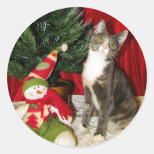 Adesivo Redondo Árvore de Natal da Princesa Tiana - Gato/Gatinho