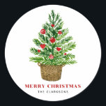 Adesivo Redondo Árvore de Natal Festiva no Wicker Basket Christmas<br><div class="desc">Árvore natalina de aquarela com um adesivo de férias em cesto de vime | Este adesivo de Natal personalizável apresenta uma árvore de Natal com ornamentos vermelhos em uma cesta mais vadia. Personalize adicionando seus próprios detalhes. Este será perfeito como um convite ou um selo de cartão de férias. Itens...</div>
