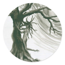 Árvore do Vinheta-Vinheta-Vinheta