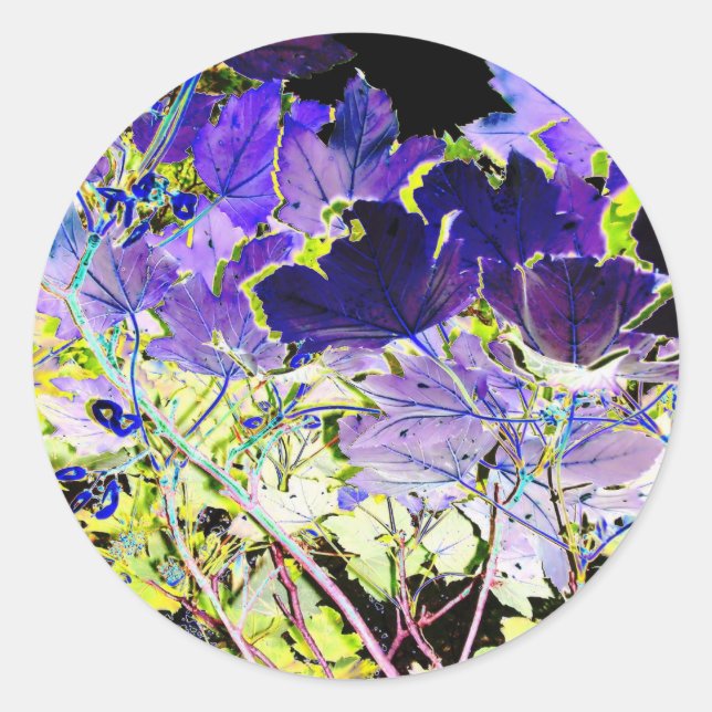 ADESIVO REDONDO ÁRVORES (Frente)