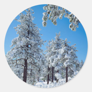 Adesivo Redondo Árvores cobertas de neve nas montanhas Laguna