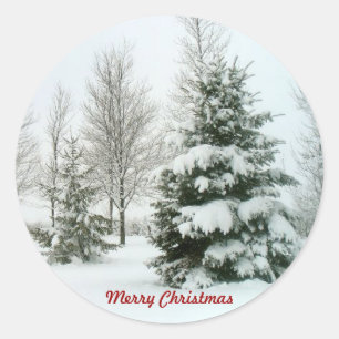 Adesivo Redondo Árvores de Snow-Laden, Feliz Natal