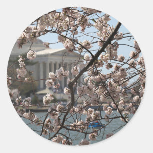 Adesivo Redondo As Cerejeiras em Flor em Washington DC