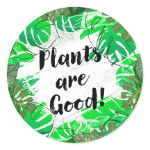 As plantas são boas vindas