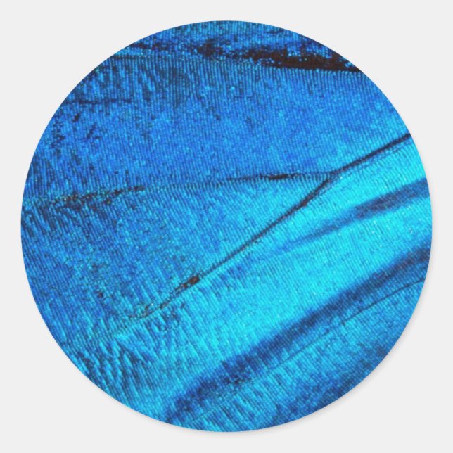 Adesivo Redondo Asa Azul Iridescente da Borboleta (Frente)