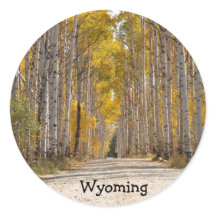 Aspen Beco No Outono