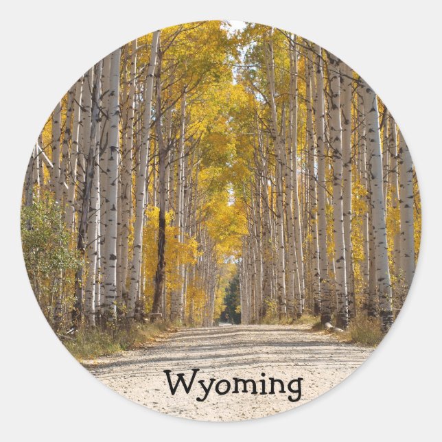 Adesivo Redondo Aspen Beco No Outono (Frente)