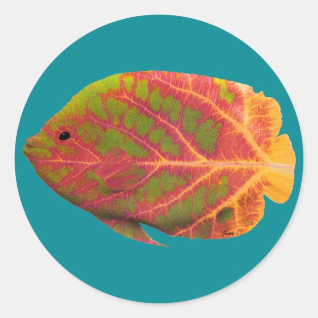 Adesivo Redondo Aspen Peixe Tropical 1 (Frente)