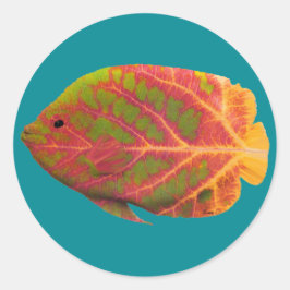 Adesivo Redondo Aspen Peixe Tropical 1