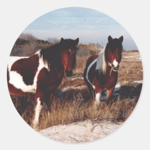 Adesivo Redondo Assateague Horses Sticker, Wild Ponies Sticker
