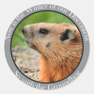 Adesivo Redondo Assim saith o groundhog