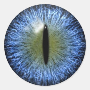 Adesivo Redondo Assustador do Halloween Cat Eyeball