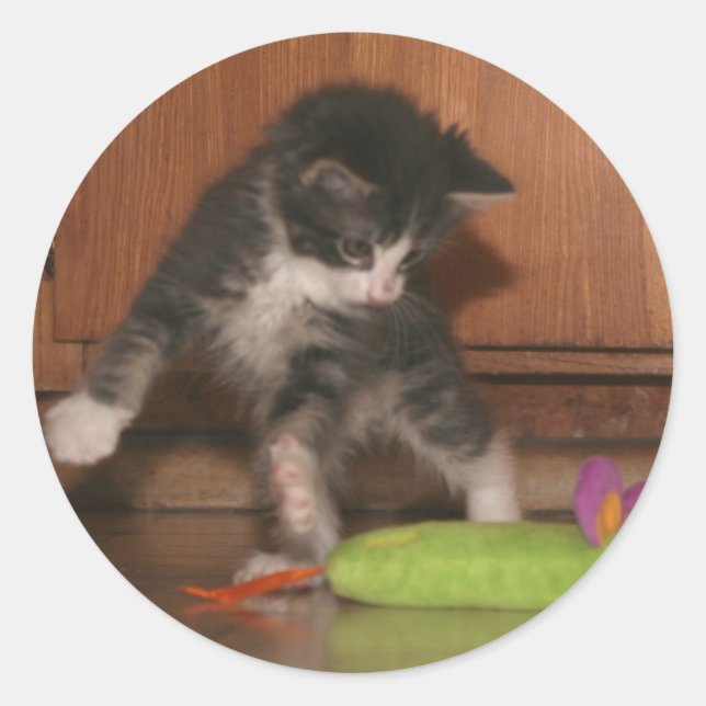 Adesivo Redondo Ataque de mosca (Frente)