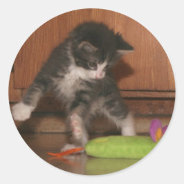 Adesivo Redondo Ataque de mosca