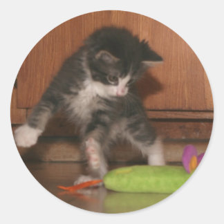 Adesivo Redondo Ataque de mosca