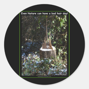 Adesivo Redondo Até A Natureza Pode Ter Um Dia De Cabelo Mau! Roup